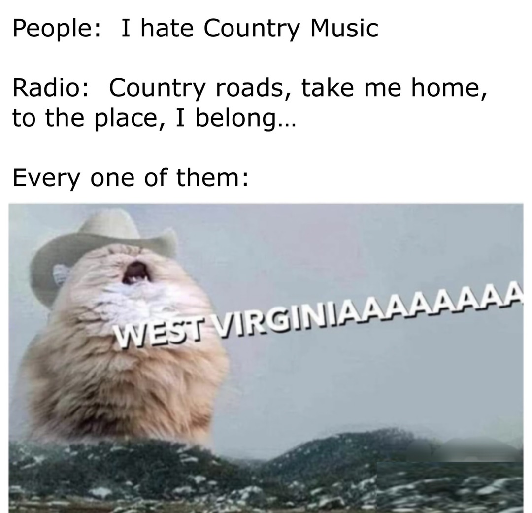 Mountain Milf Pimp, Serenades You, Outside Your Home - meme