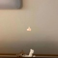 commented item thumbnail