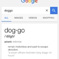 doggo
