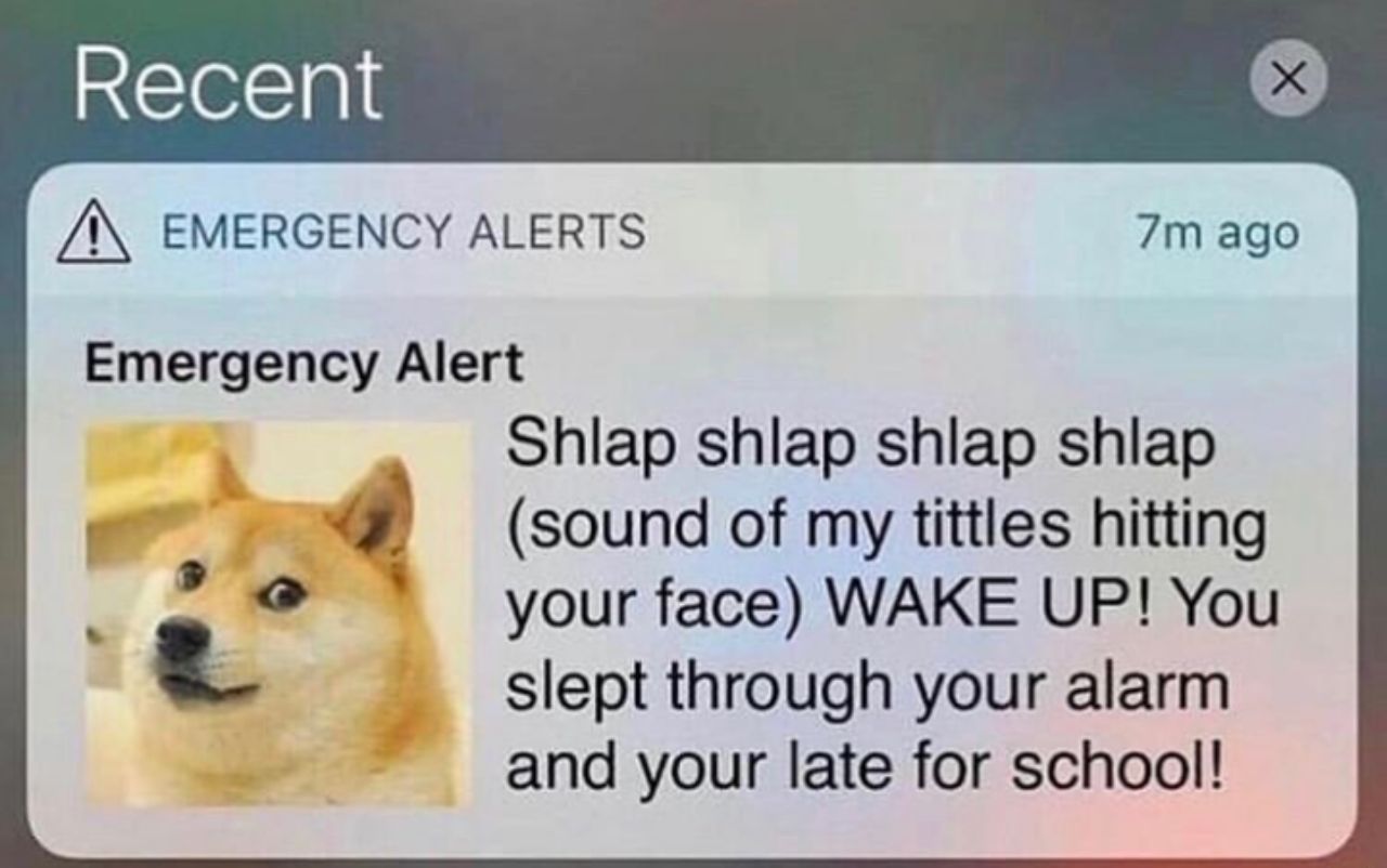 Emergency alert - meme