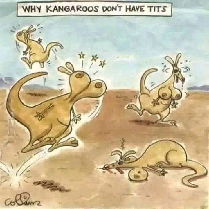 Kangaroos - meme