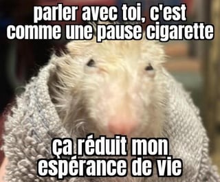 Parler avec toi, c'est comme une pause cigarette - meme