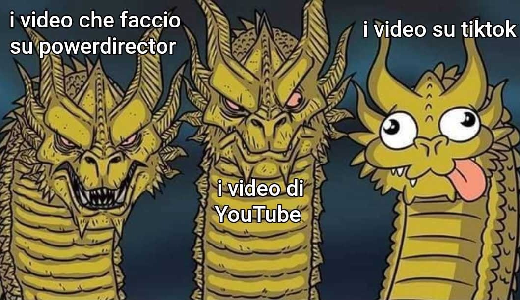Pov: i video in breve. - meme