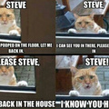Steve?