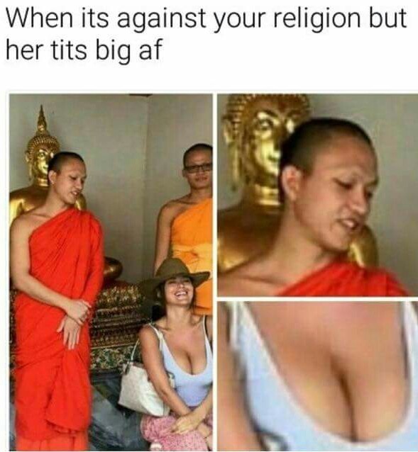 Nobody can resist a pair of great tits - meme