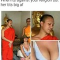 Nobody can resist a pair of great tits