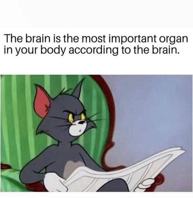 The brain is the most important organ inyour body according to the brain - meme