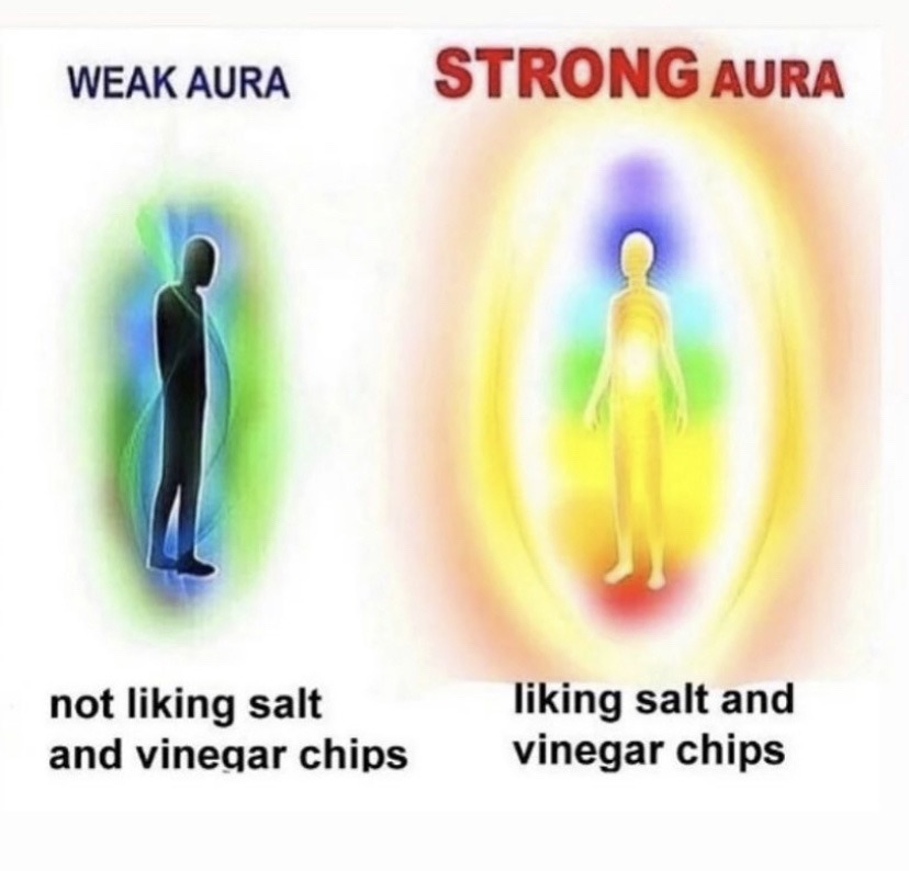 salt and vinegar is truly the superior flavor - meme