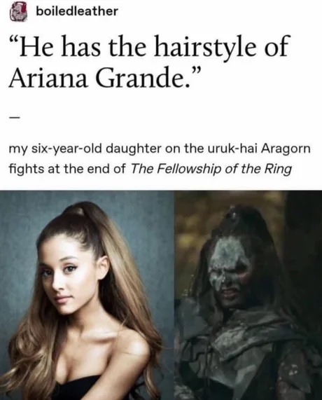Ariana Grande hairstyle - meme