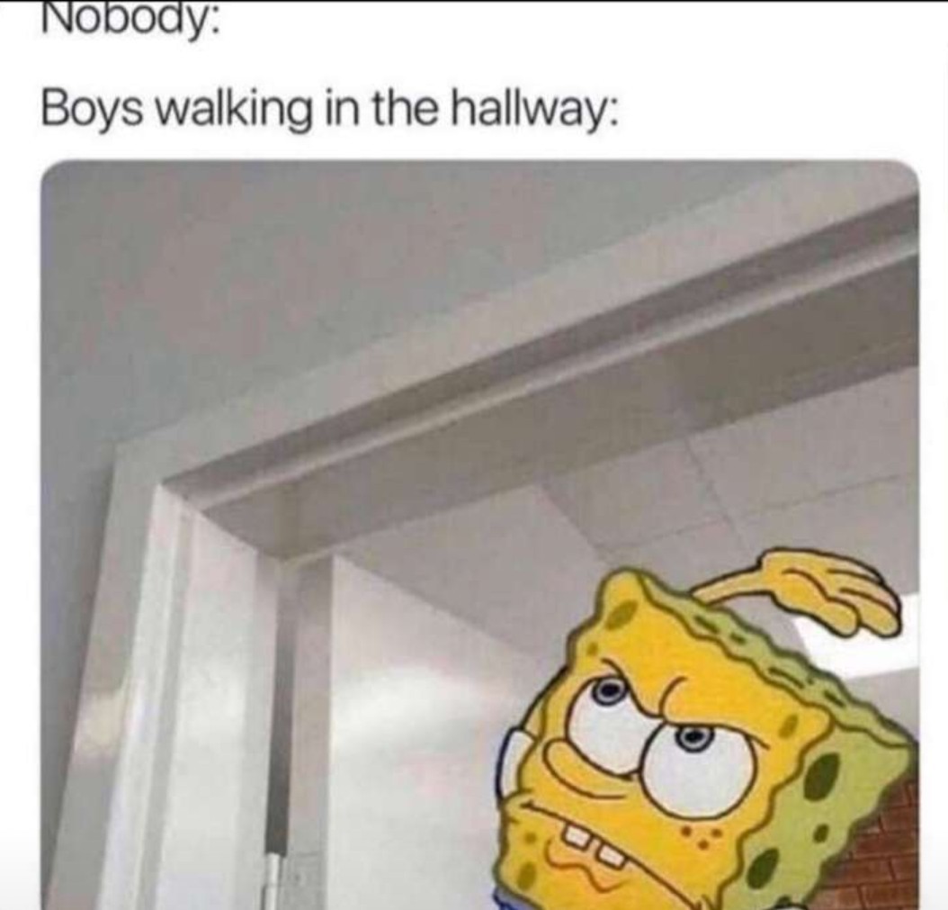 Boys in Hallways - meme