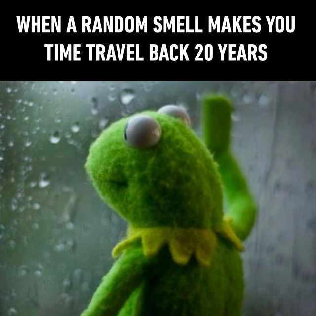 Time travel - meme