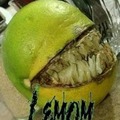 When limon