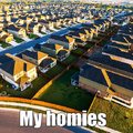 Home homie funny