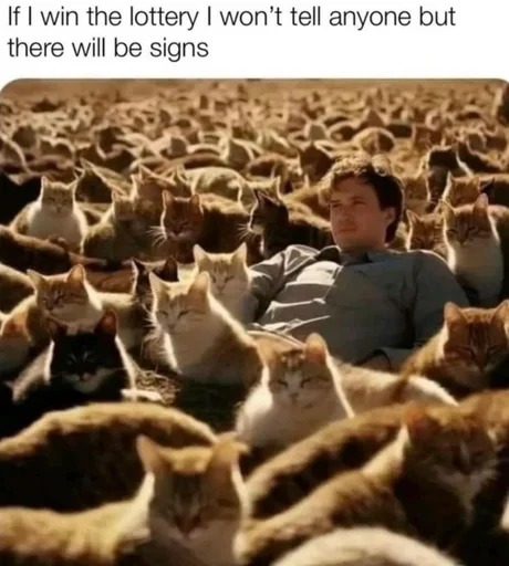 A cat army - meme