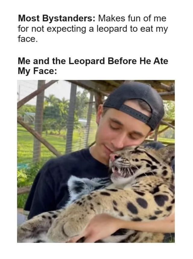 you can't tell leopards are not chill - meme