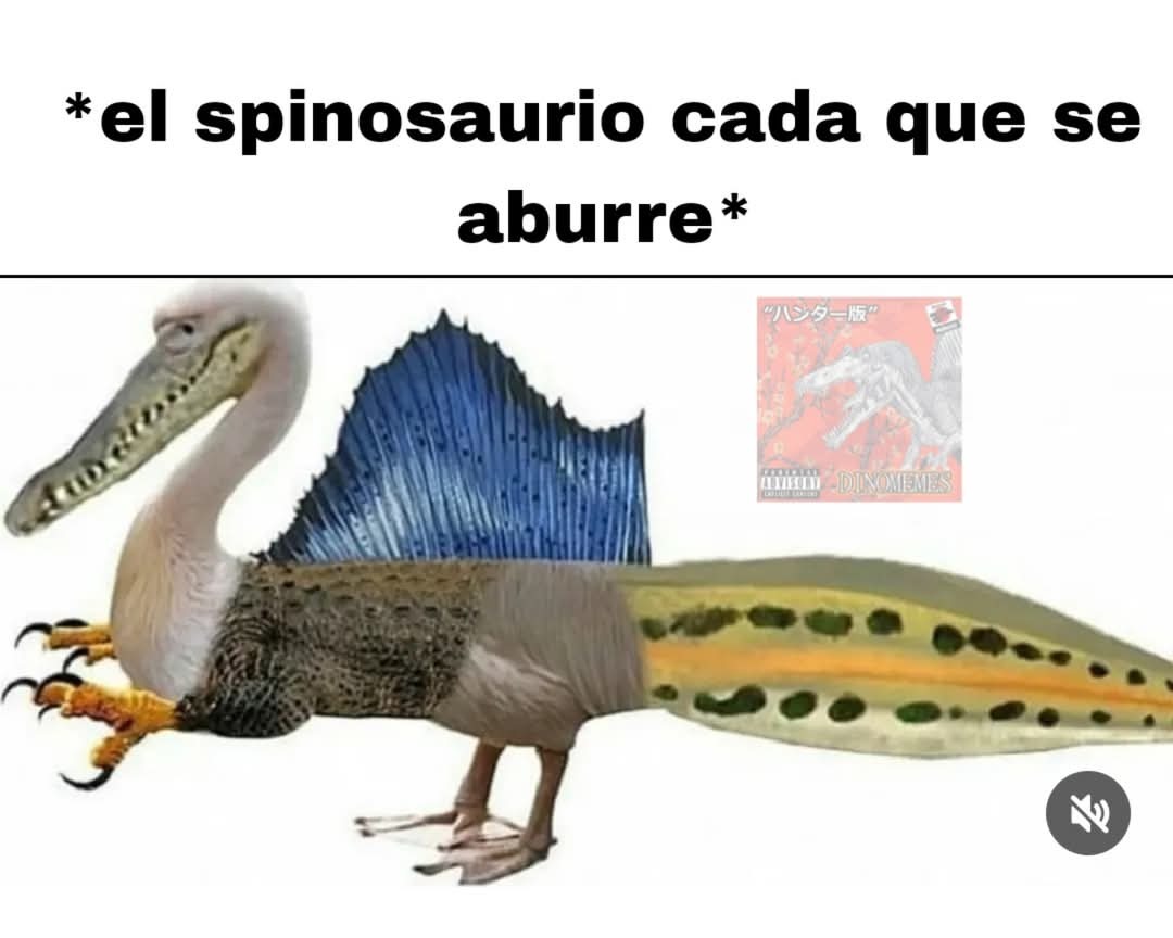 Ya mejor no hagan nada - meme