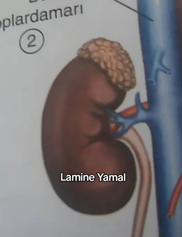 Lamine GOATmal - meme