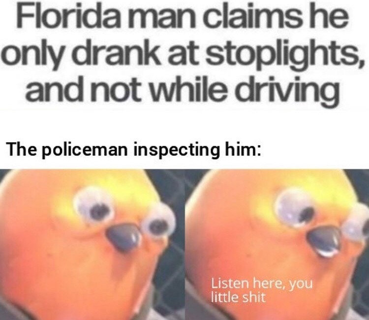 Florida man - meme