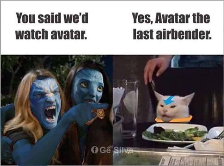 You said we'd watch avatar 2 - meme