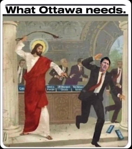 What Ottawa needs - meme