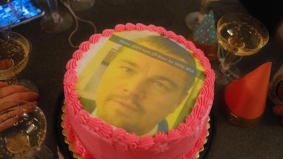 Great Leonardo DiCaprio birthday cake - meme