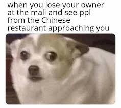 i aint ever going to china - meme
