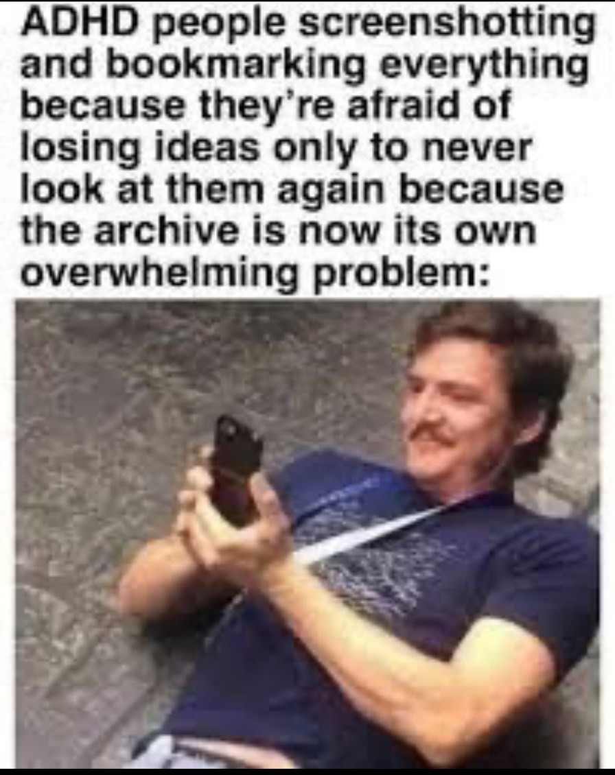 I'll save this meme for later, right here in my unsearchably large pile of unsorted everything