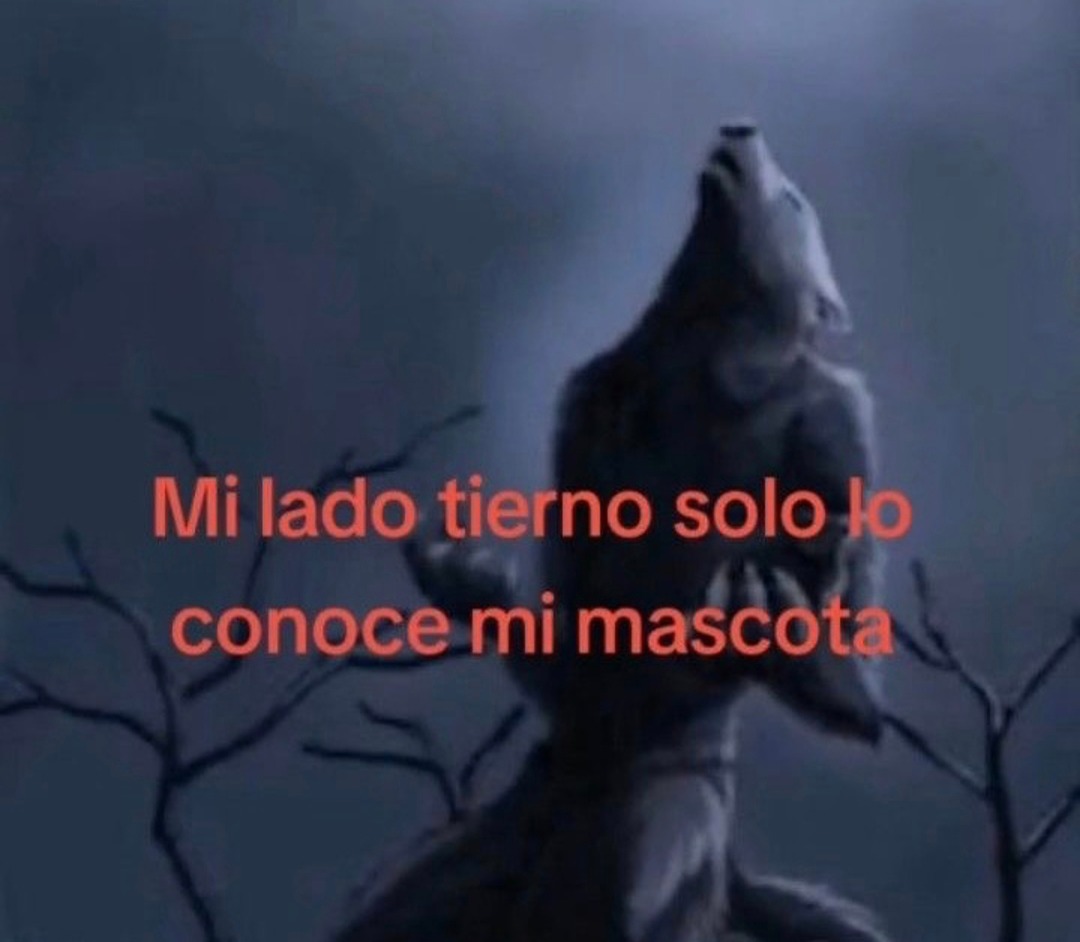 mi lado tierno solo lo conoce mi mascota y nadie más - meme
