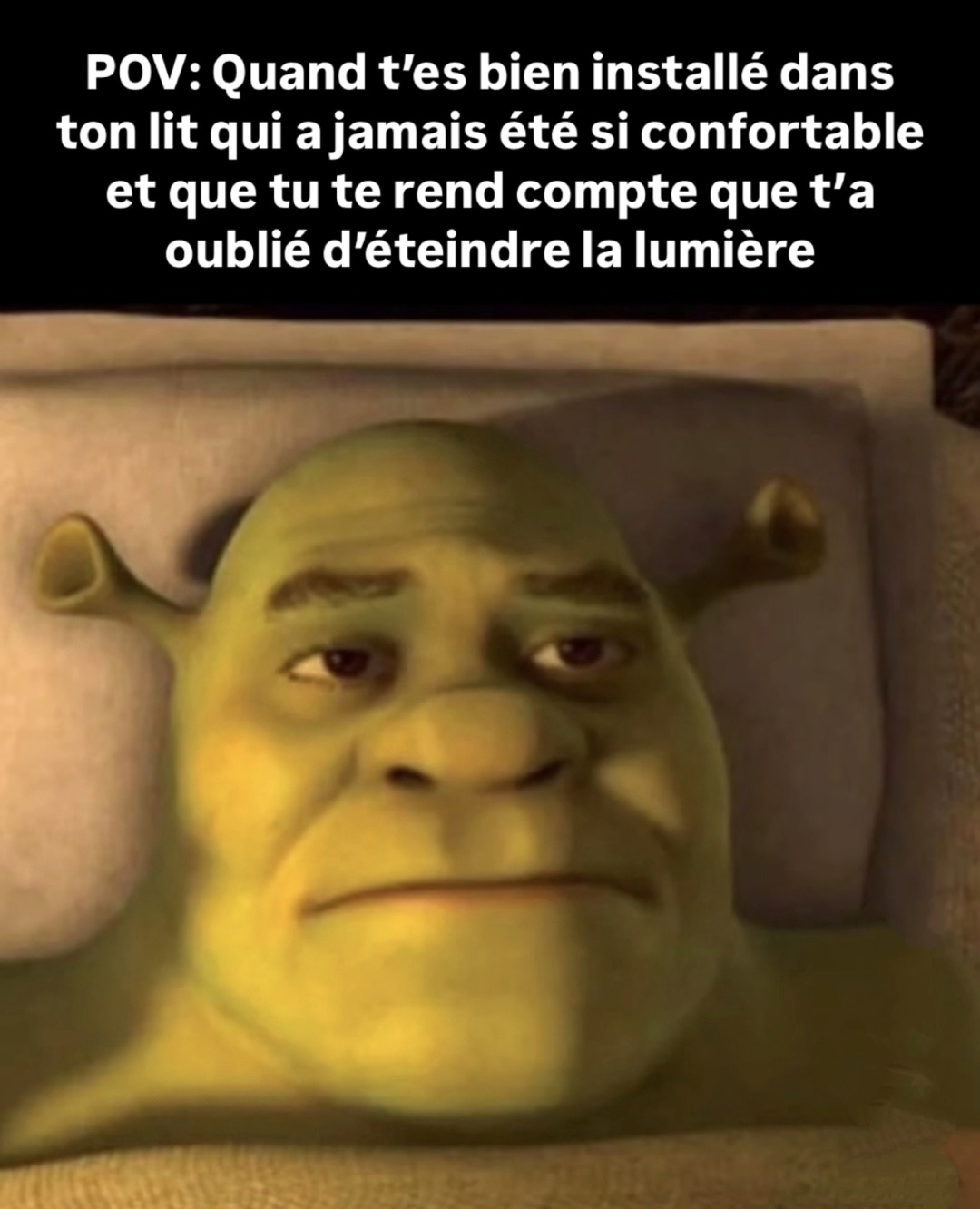 La flemme intersidérale - meme