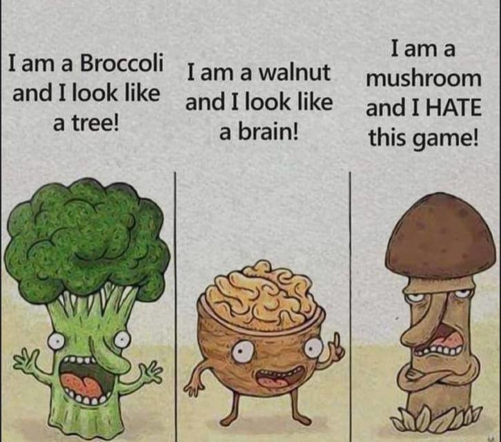 brain broccoli energy - meme