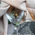 Revenge of the Wasp