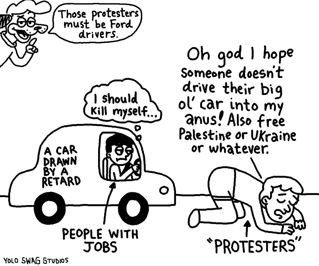 dongs in a  protest - meme