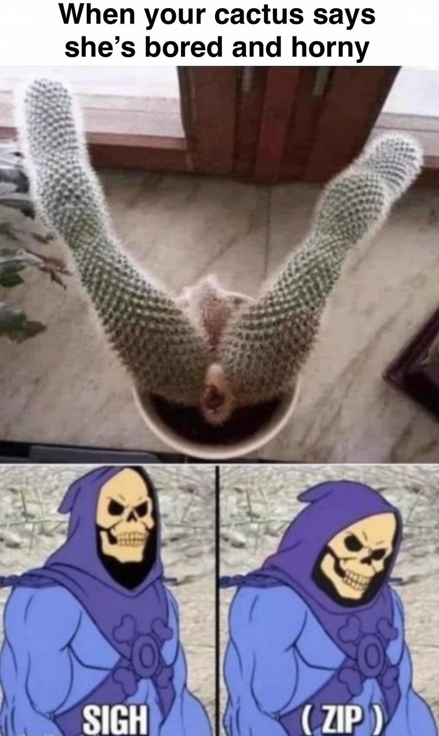 Skeletor 3 - meme