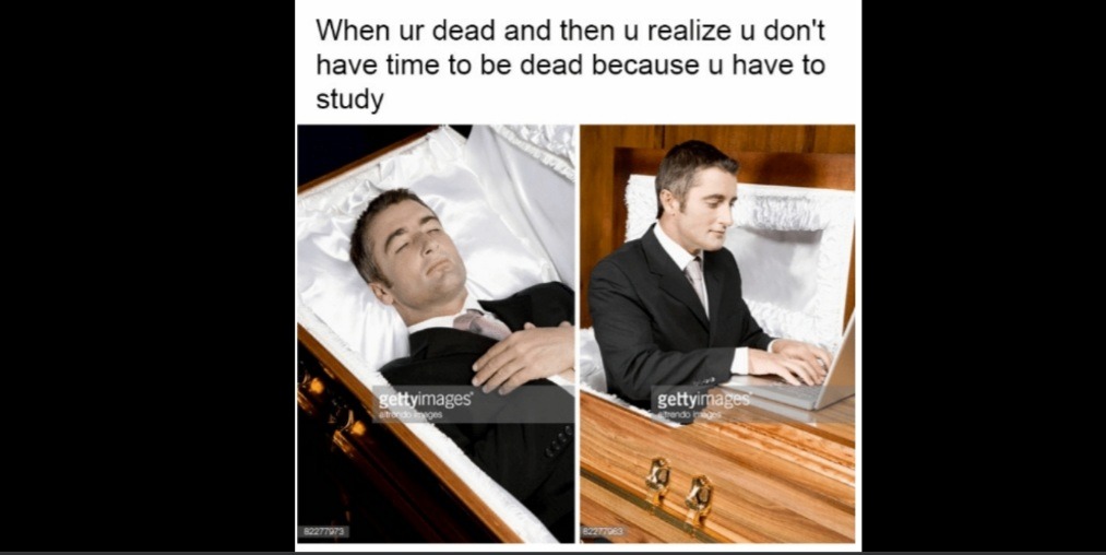 dead but studi - meme