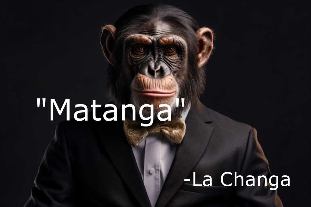 "Matanga" dijo La Changa - meme