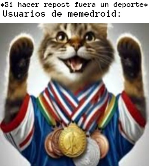 26/1/2025 - meme