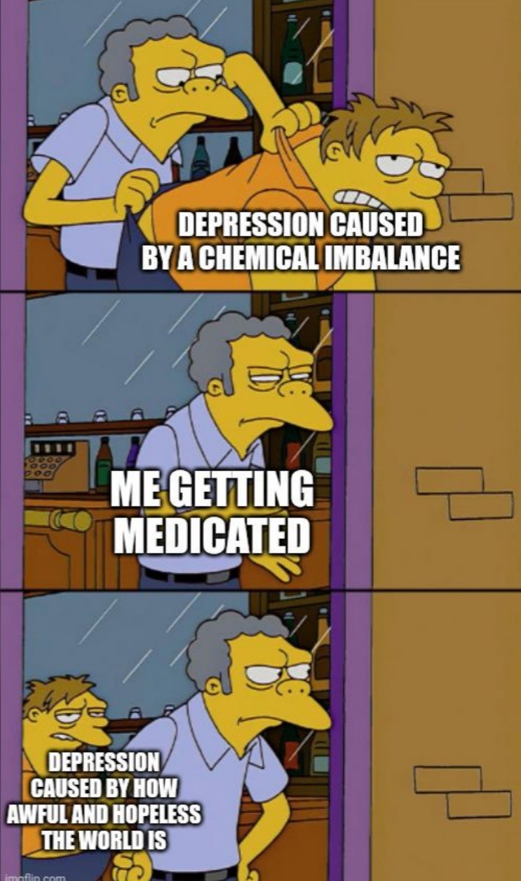 Me on meds: maybe it’s my brain. Me after: no it’s the world that’s broken - meme
