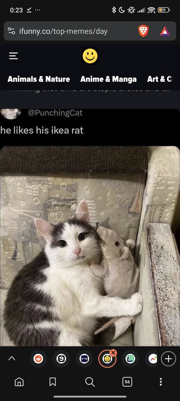 he really do love that ikea rat tho - meme