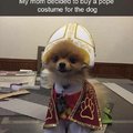 That's One Holy Pupper!