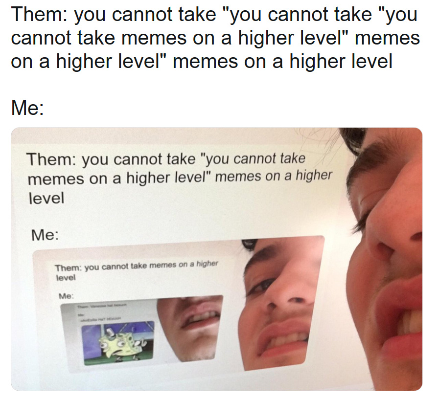 yOu CaNnOt TaKe MeMeS oN a HiGhEr LeVeL