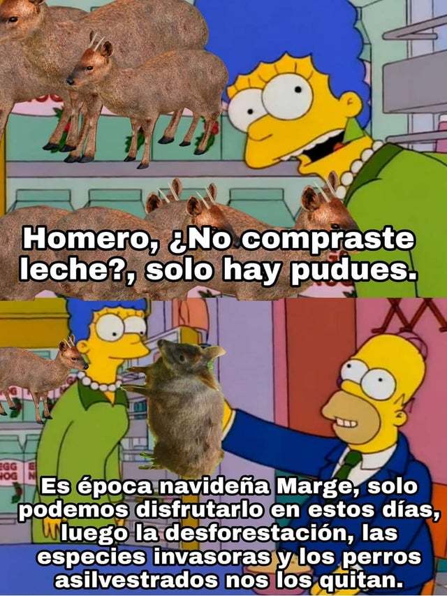 r/Chile be like: - meme