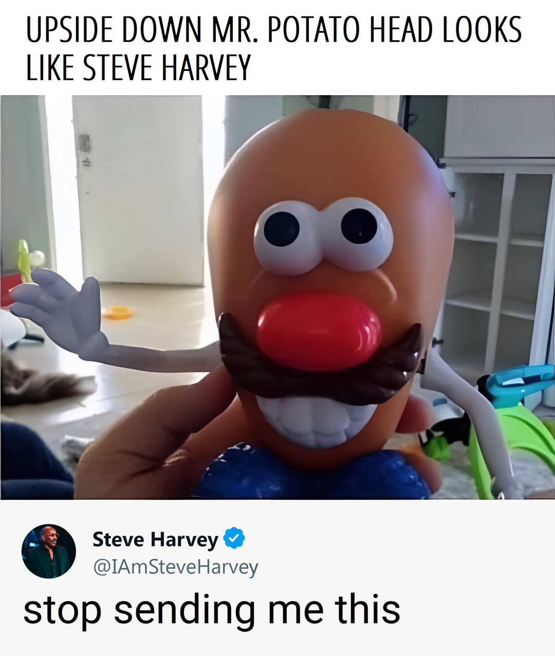 Steve Harvey vs Mr. Potato Head (HD repost) - meme