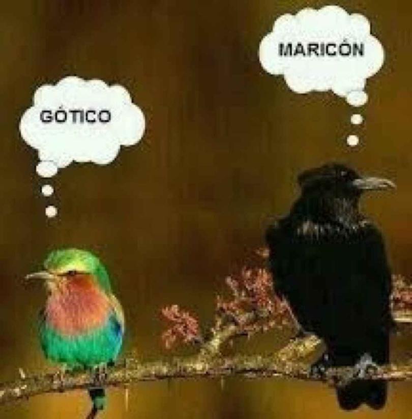 Gotico Maricon :v - meme