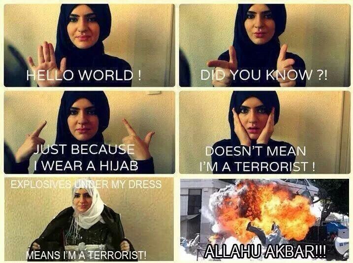 Hijabs r fun - meme