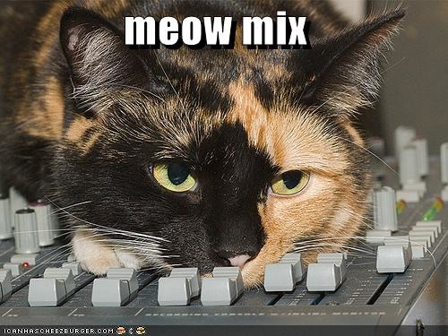 Lolcats - dj - LOL at Funny Cat Memes - Funny cat pictures with