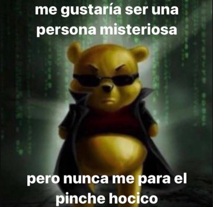 No se que poner - meme