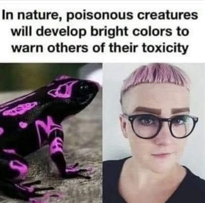 Poison for society - meme