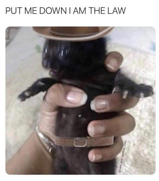 He is the law - meme