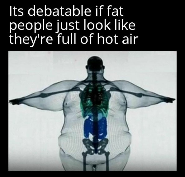 Another stinkn fat joke - meme