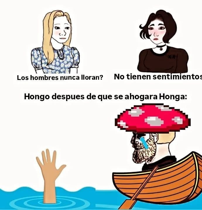 chiste de hongos - meme